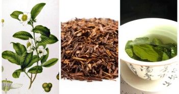 The Superfood known as tea