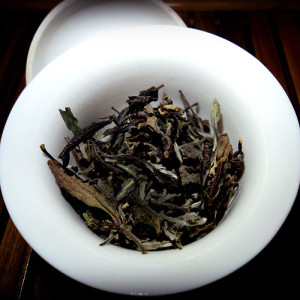 Guide_to_White_tea_Eastern