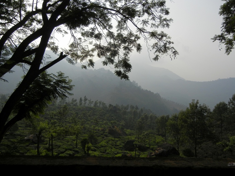 Majestic Western Ghats Mountains