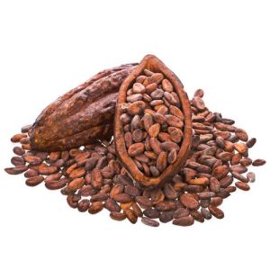 Cacao