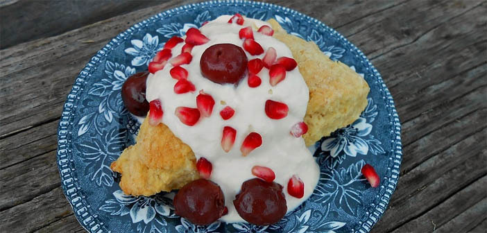 Vanilla Oat Scones