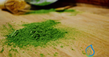 matcha green tea